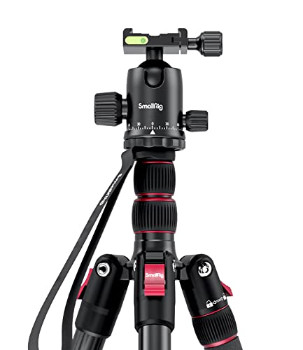 41DZS8tW9+L.jpg